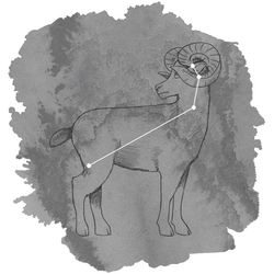 Aries Panel in Charcoal