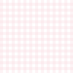 Gingham in Soft Pink