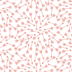 Arrows in Tulip on White