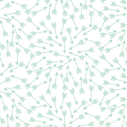 Arrows in Mint on White