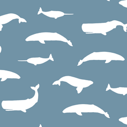 Whale Silhouette in Marine