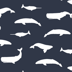 Whale Silhouette in Eclipse