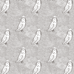 Small Crowned Owl in Brown