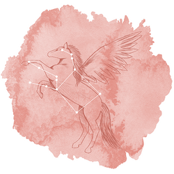 Pegasus Panel in Tulip