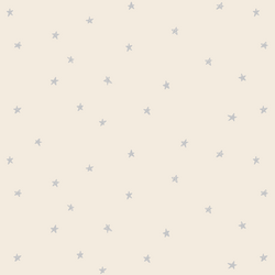 Celestial Stars in Lunar Gray on Egret