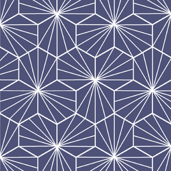 Radiate in Indigo