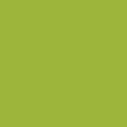 Solid in Light Olive