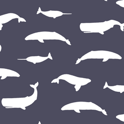 Whale Silhouette in Ink