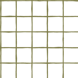 Windowpane in Jungle on White