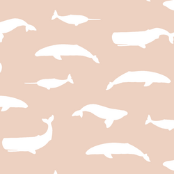 Whale Silhouette in Shell