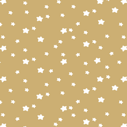 Star Light in Golden Canyon