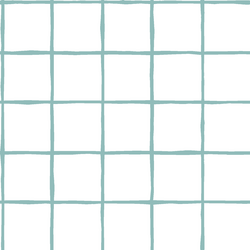 Windowpane in Pool on White