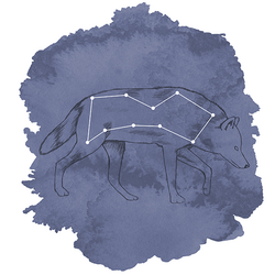 Lupus Panel in Indigo