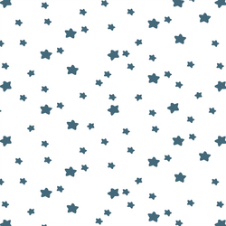 Star Light in Lake on White