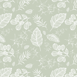 Foliage in Succulent Green