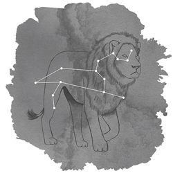 Leo Panel in Charcoal