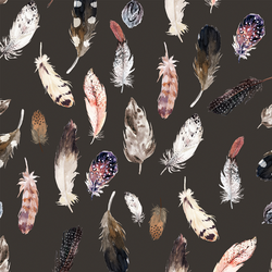 Falling Feathers in Brown