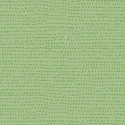 Moonscape in Kiwi