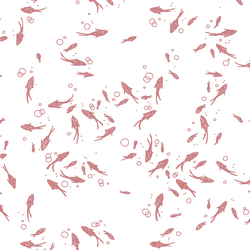 Salmon Run in Berry