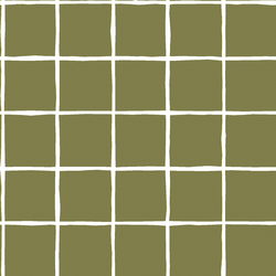 Windowpane in Jungle