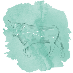 Taurus Panel in Succulent