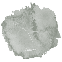 Cancer Sign Panel in Sage