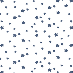 Star Light in Midnight on White