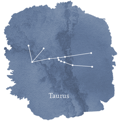 Taurus Sign Panel in Midnight