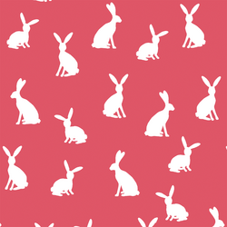 Cottontail Silhouette in Passion