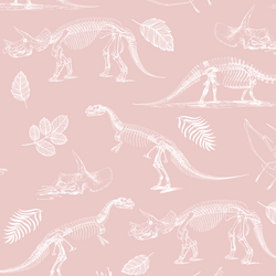 Fossils in Blush