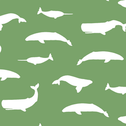 Whale Silhouette in Pistachio
