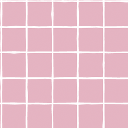 Windowpane in Carnation