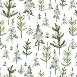 Snowy Forest in Pine