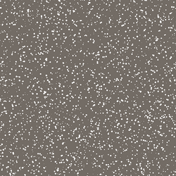 Stardust in Stone