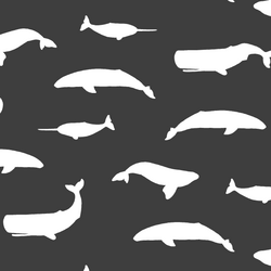 Whale Silhouette in Onyx