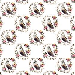 Little Cambridge Owl in White