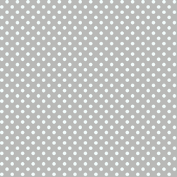 Tiny Dot in Pebble