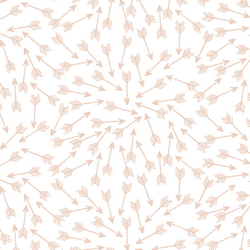 Arrows in Shell on White