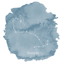 Scorpio Sign Panel in Marine
