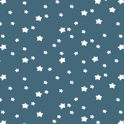 Star Light in Lake