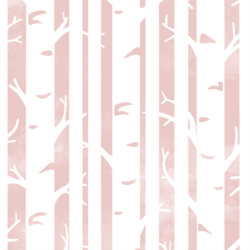 Big Birches in Blush