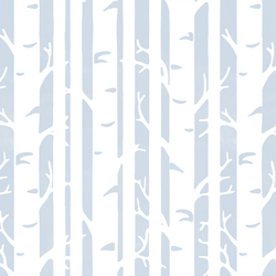 Birches in Cirrus