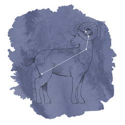 Aries Panel in Indigo