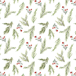 Pine Berry in Present