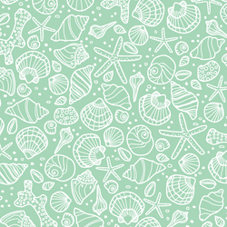 Seashells in Seaglass