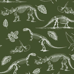 Fossils in Olive Green