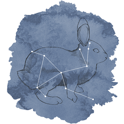 Lepus Panel in Midnight