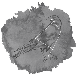 Corvus Panel in Charcoal