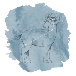 Aries Panel in Marine
