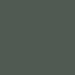 Solid in Dark Gray